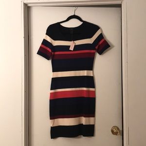 NWT Anne Taylor Petite Dress